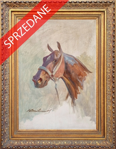 Roman Breitenwald "Studium głowy konia", polskie malarstwo, skup antyków, antyki, Galeria Żak