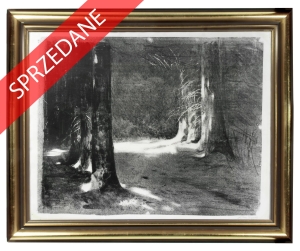  Leon Wyczółkowski "Aleja świerkowa w słońcu"