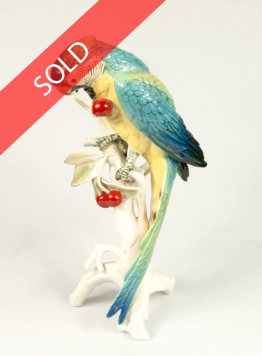 PapugaSold.jpg