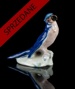 Papuga, II poł. XX w. 
