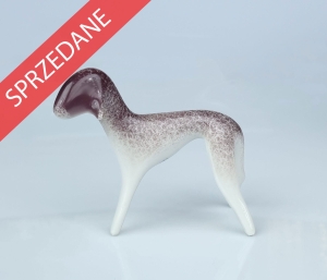 Bedlington terier ,  Mieczysław Naruszewicz, Ćmielów, lata 60-te XX w.