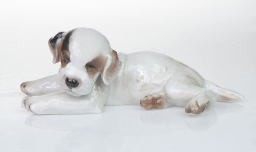 Theodor Kärner “Szczeniak - terrier” Rosenthal, lata 30. XX w. , antyki Warszawa, skup antyków, porcelana, stara porcelana, Galeria Żak