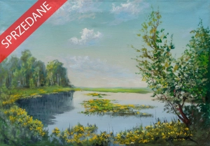 Stanisław Habrowski "Kaczeńce"