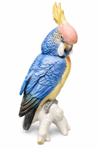 Parrot, Karl Ens, before 1919